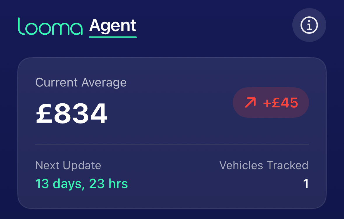 Looma Agent Overview